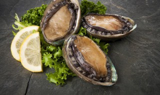 鲍鱼怎么做儿童吃最好 鲍鱼如何做儿童吃最好