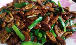 蜂蛹怎么炒好吃 炒蜂蛹的做法