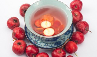 山楂可以天天吃吗 山楂的功效与作用