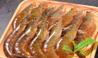 立冬大虾怎么做好吃 立冬大虾如何做好吃