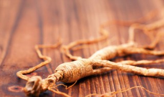 保鲜人参怎么吃 鲜人参怎么吃效果最好