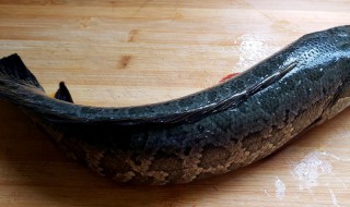 黑鱼怎么红烧简单又好吃 黑鱼如何红烧简单又好吃