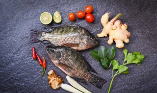 杀过的鱼隔夜怎么保鲜 杀好的鱼怎么保鲜过夜