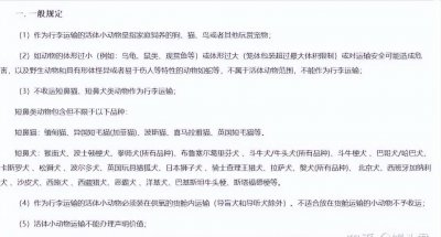 宠物托运流程及注意事项 超详细宠物托运指南