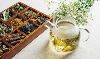 红桂花泡茶方法是什么 红桂花怎么冲泡