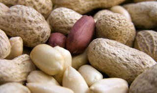 立冬花生怎么做好吃 立冬花生如何做好吃