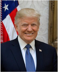 老狐狸比喻什么样的人物 形容一个人老狐狸是什么意思