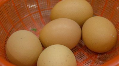 一天吃几个鸡蛋最好 一天最多能吃几个鸡蛋健康