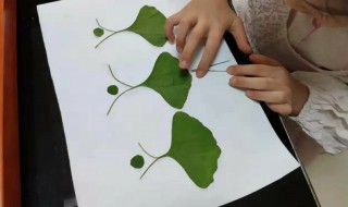 树叶画怎么保鲜 树叶画怎么保存不会干枯