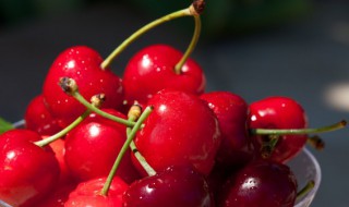 吃完樱桃千万别碰5种食物 樱桃和哪些食物不宜一起吃