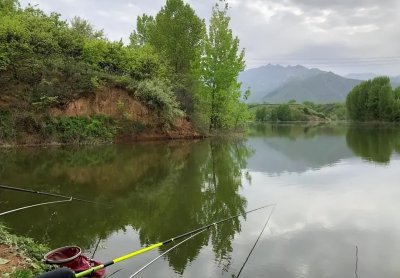 新手学钓鱼的入门基础知识 新手刚学钓鱼要掌握的技巧