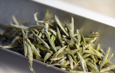 大白毫的功效与作用、 大白毫属于什么茶类品种