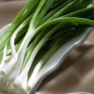 小香葱种植技术和种植时间 大面积种植香葱经验介绍