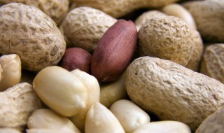 花生进入中国时间 花生什么时候进入中国