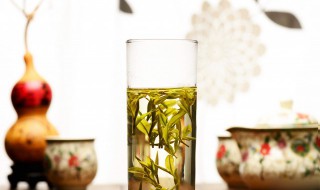 秋冬季喝什么茶好 秋冬季喝了好的茶