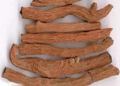 2023年丹参种植前景行情分析 种丹参一年收益多少