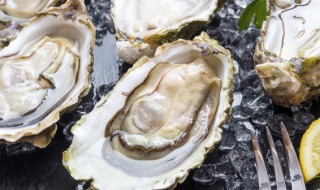 新鲜蚝肉怎么保存 生蚝肉如何保存
