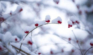 男孩适合发立冬的短语 适合立冬发的文案