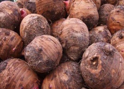 香芋和芋头区别 香芋和芋头的区别