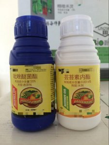 赤霉酸能和吡唑醚菌酯混合使用吗 赤霉酸能和什么药混配