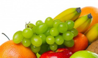 提子烂了一点有蛆还能吃吗 提子烂了还能吃吗