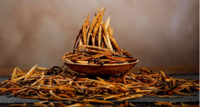 滇红茶哪个品种最好 滇红最好的品种是什么茶