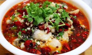 水煮鱼的配菜放什么 水煮鱼里面放哪些配菜