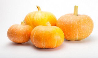 我国南瓜产地的介绍 我国南瓜产地主要在哪里