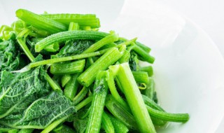 嫩苋菜梗怎么吃 嫩苋菜梗的做法