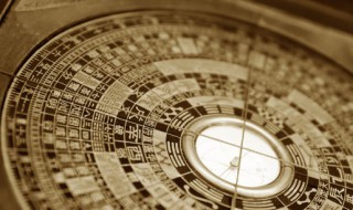 属相猪的人养什么花好运 属猪的养什么花运气好