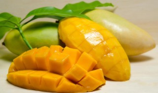 芒果施肥方法和注意事项 如何给芒果施肥