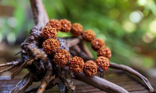 怎样挑选手串颜色深浅 黄花梨手串选深色还是浅色