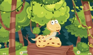 梦见蛇到家里面是什么意思 梦见家里有蛇什么预兆