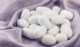 桑蚕丝能水洗吗 桑蚕丝可以水洗吗