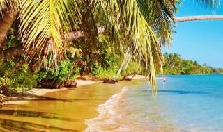 澳洲旅游买东西注意 怎么购买澳洲的东西