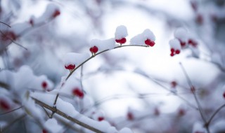 立冬失望的文案短句 适合立冬发的伤感文案