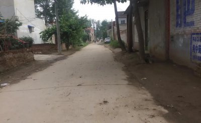 四种灵性动物不能放生 哪些灵性生物不可杀不可食