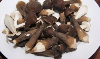 如何保存新鲜鸡枞 保存新鲜鸡枞的方法介绍