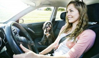 沃尔沃汽车共振解决方法 如何解决汽车共振故障