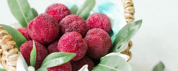 水果怎么挑选杨梅好吃