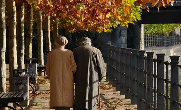 血缘关系是什么意思