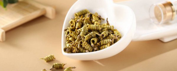 哪些人不宜吃霍山石斛