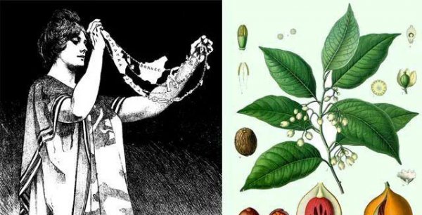 东帝汶位于哪里