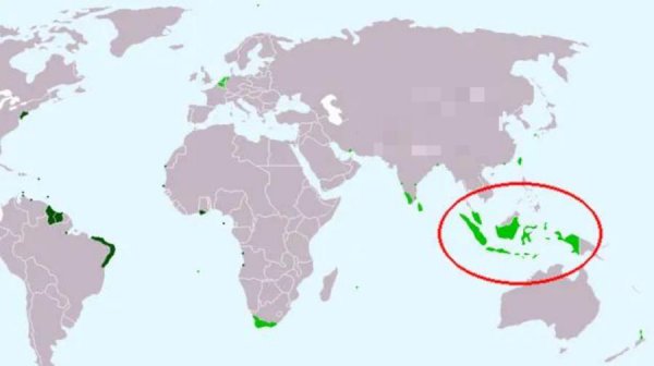 东帝汶位于哪里