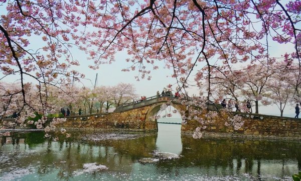 江苏有什么好玩的地方旅游景点