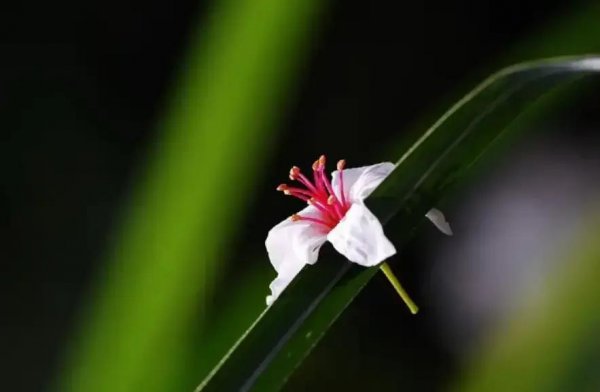 家庭越来越不顺的6个原因