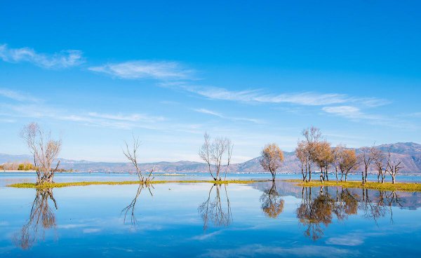 活得通透是什么意思