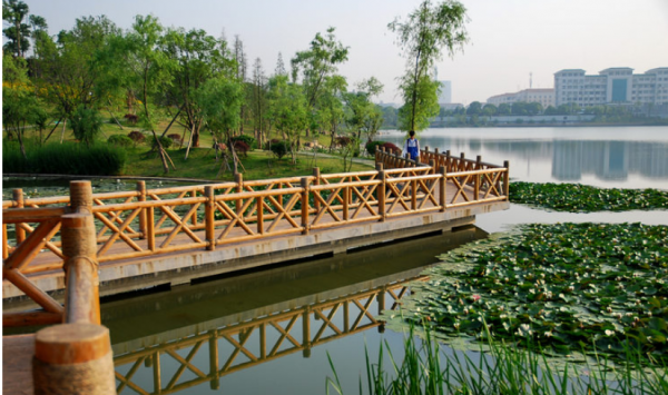 湖南师大是985还是211大学