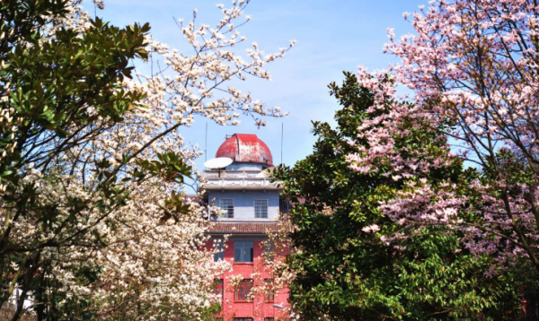 湖南师大是985还是211大学