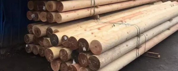 干木头如何保存